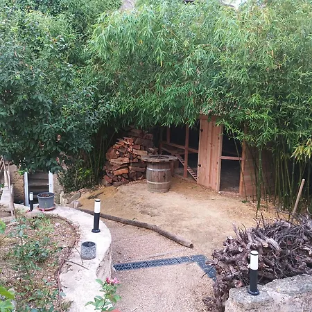 Les Dodos De Rose Doué-la-Fontaine