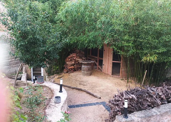 Les Dodos De Rose Doué-la-Fontaine